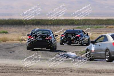 media/Oct-04-2025-OnGrid (Sat) [[44bd565ffa]]/Purple Group/Grapevine/